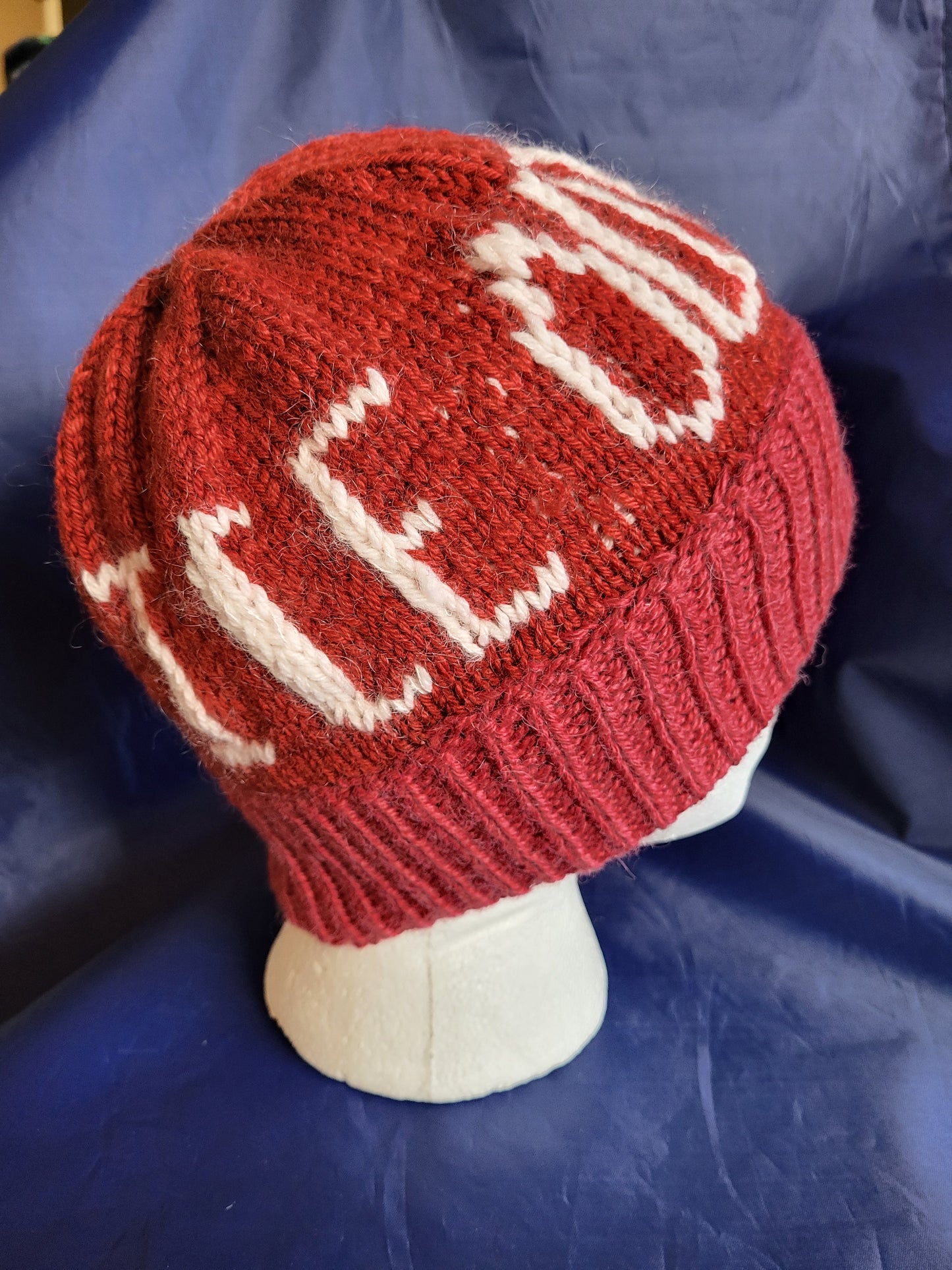 Red Hat Anti Ice Pro Democracy Fundraiser for Stand with Minnesota #15