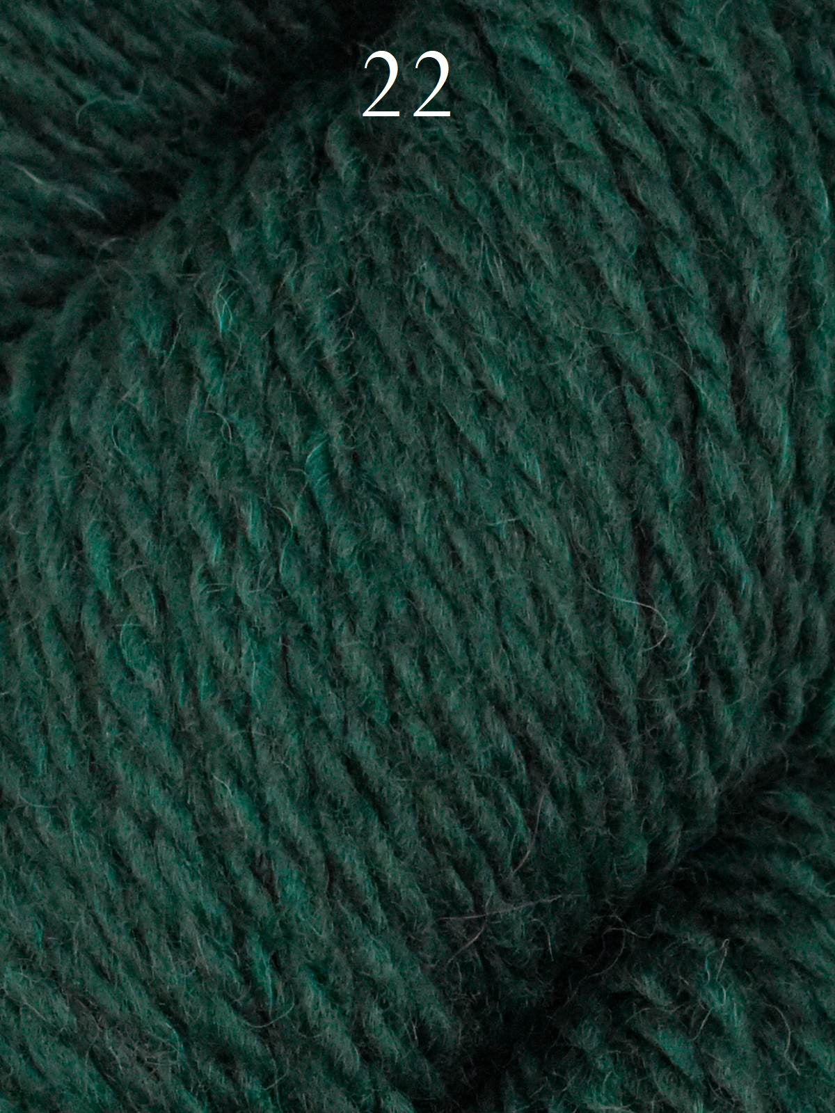 Juniper Moon Farm Bluefaced Leicester - BFL