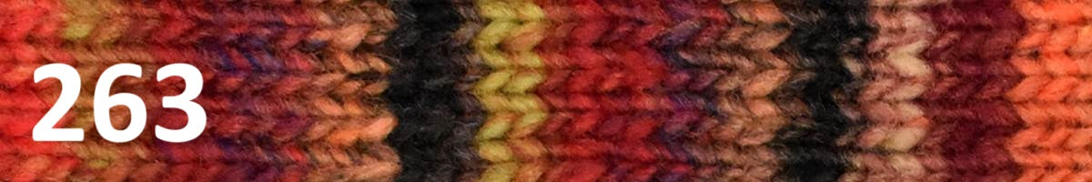 Noro Kureyon