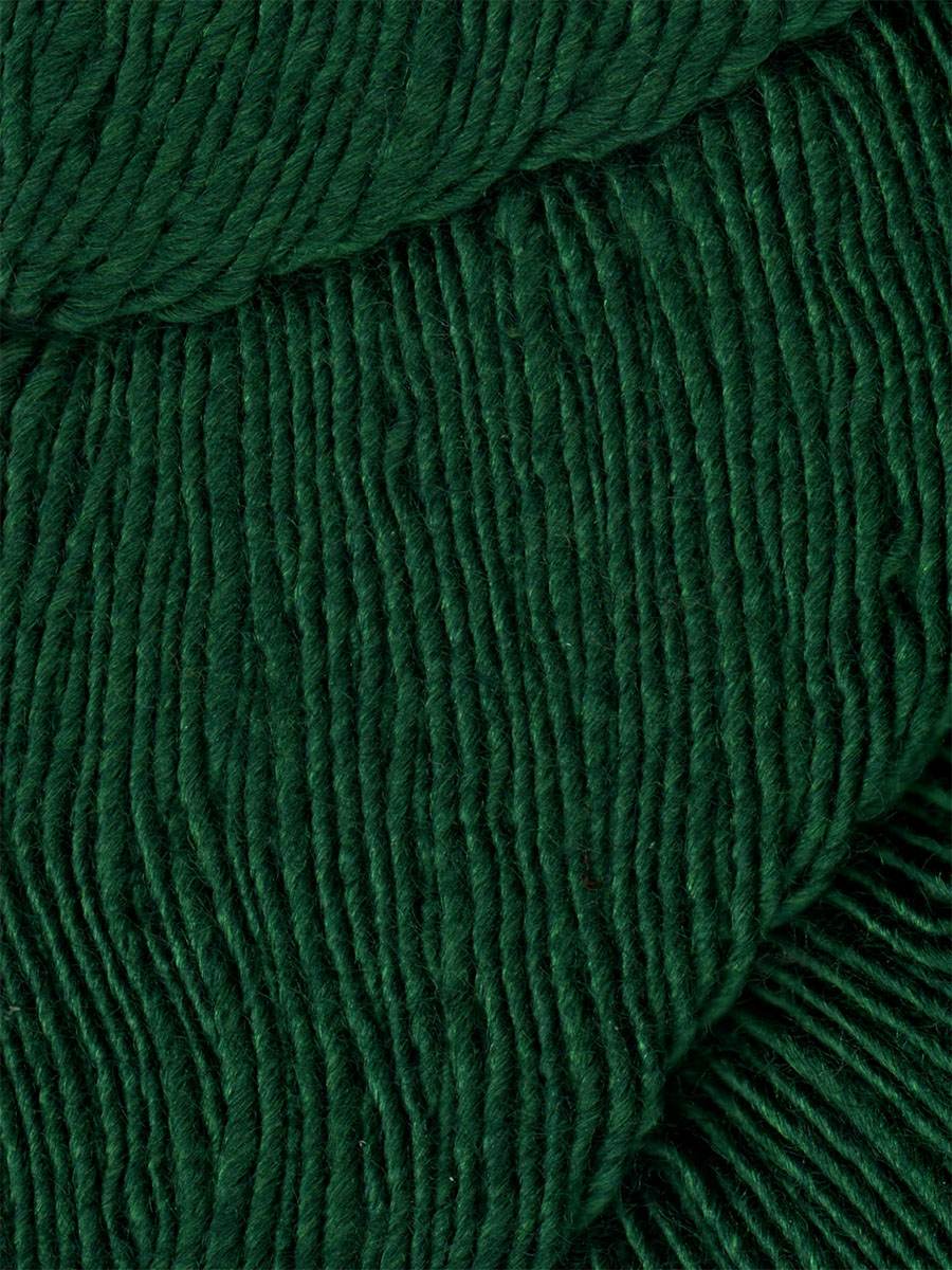 Araucania Nuble