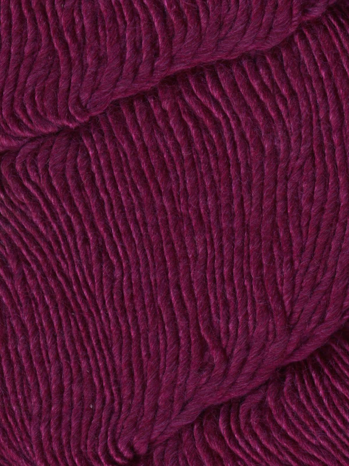 Araucania Nuble