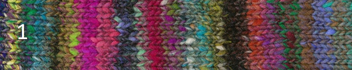 Acorn Path Shawl Kit