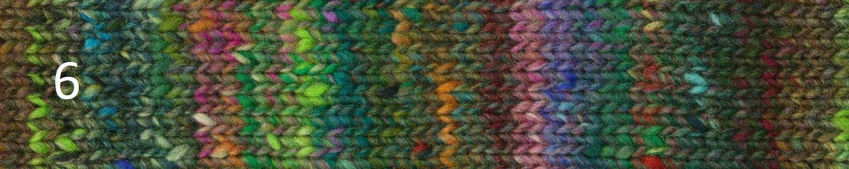 Acorn Path Shawl Kit