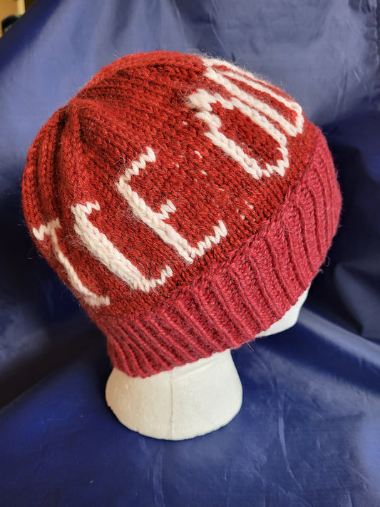 Red Hat Anti Ice Pro Democracy Fundraiser for Stand with Minnesota #15