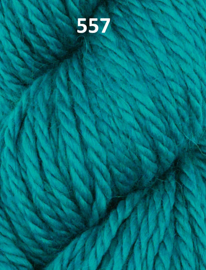 Ella Rae Cozy Alpaca Chunky