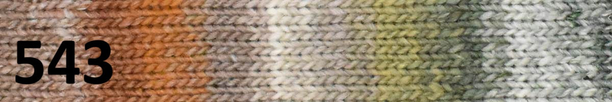 Noro Silk Garden