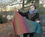 Shawl Lovers Knit Box